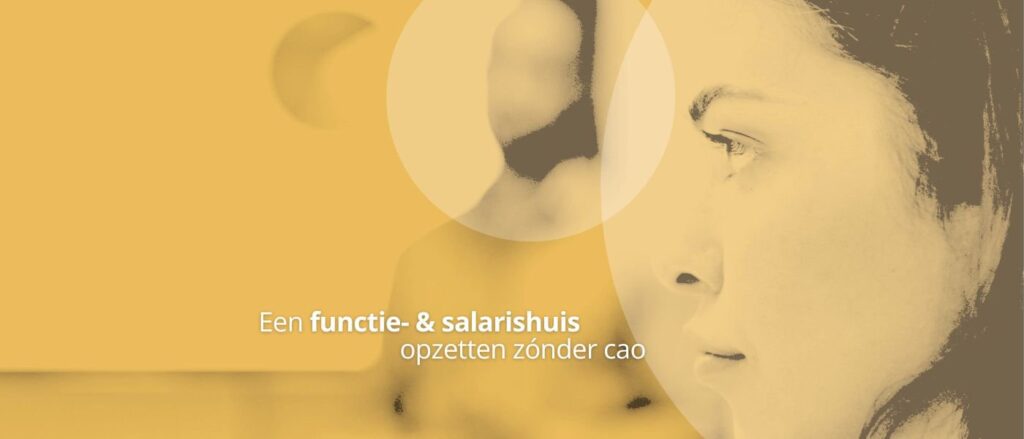 ​Een functie- & salarishuis opzetten zónder cao: zo houd je grip op loon en groei cover